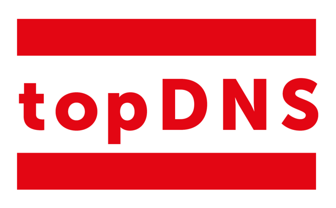 TopDNS Logo