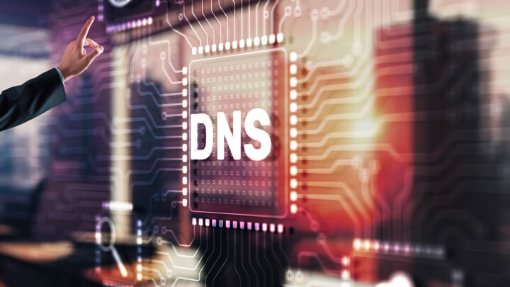 What The topDNS Dataset Reveals About DNS Abuse